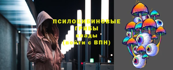 индика Баксан