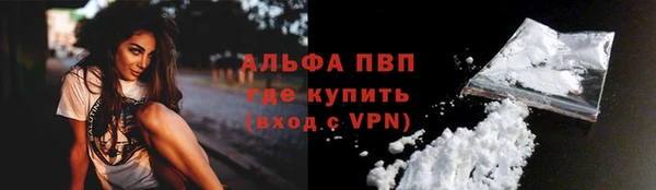 индика Баксан