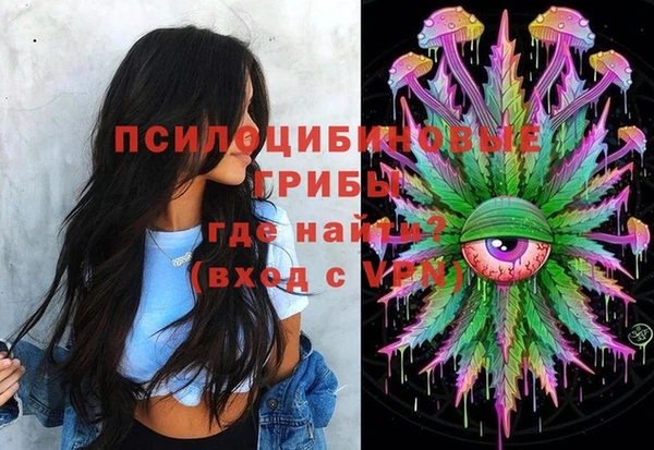 индика Баксан
