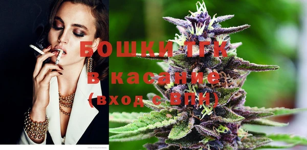 индика Баксан
