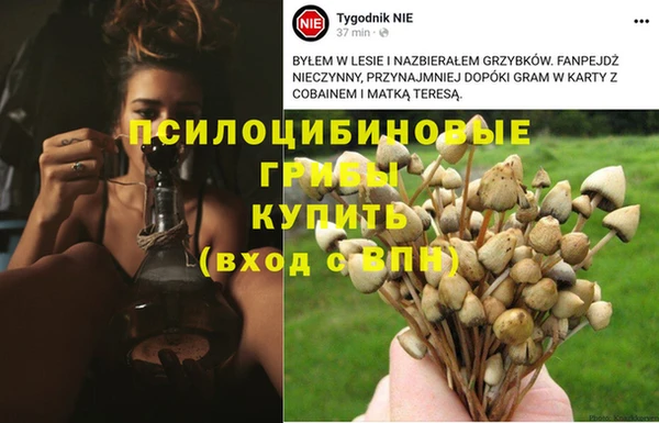 бошки Балахна