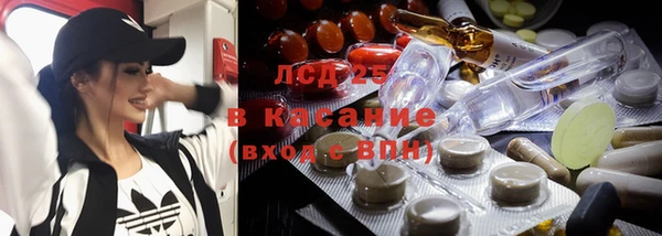 индика Баксан