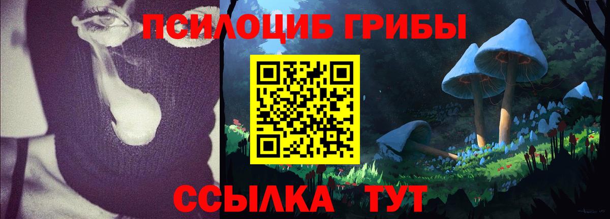 Корсаков  купить закладку  Вход с VPN  Псилоцибиновые грибы MAGIC MUSHROOMS 